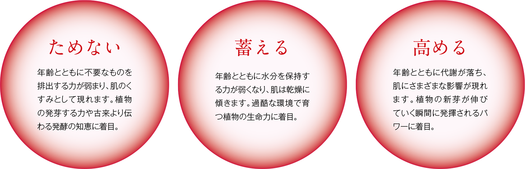 ためない 蓄える 高める